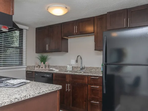 The woods At camp Creek