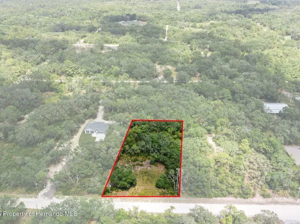 8184 Chimney Rock Dr, Webster, FL 33597