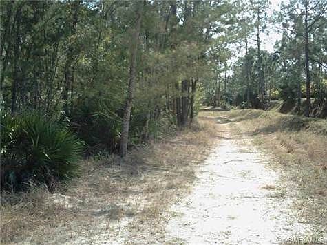 4th image of 25607 Busy Bee Dr