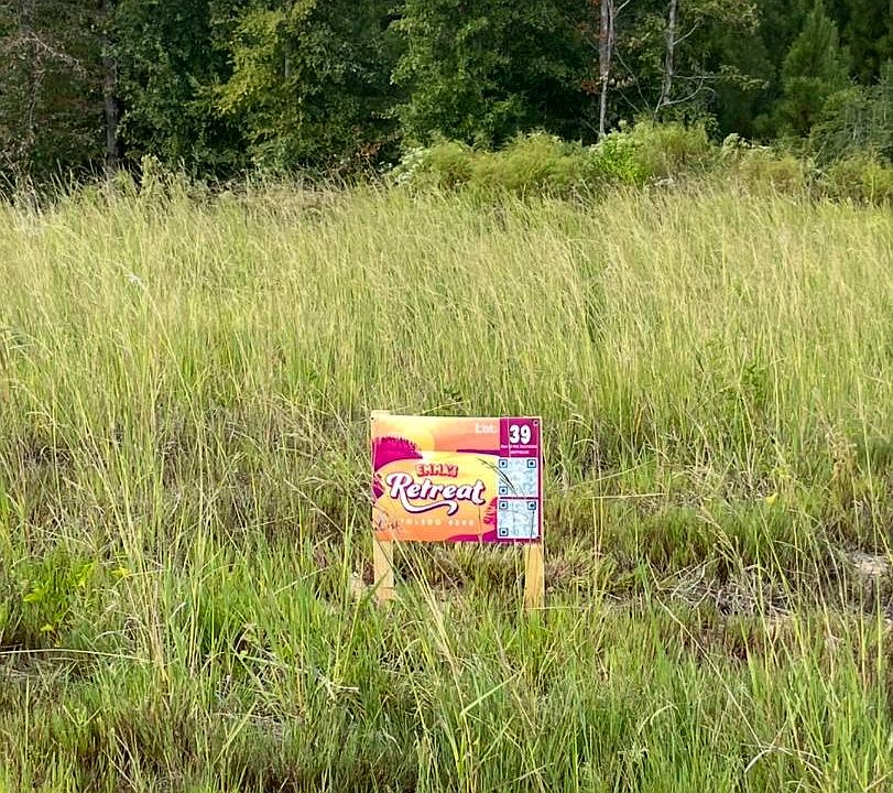 2nd image of 39 Wilderness Trl