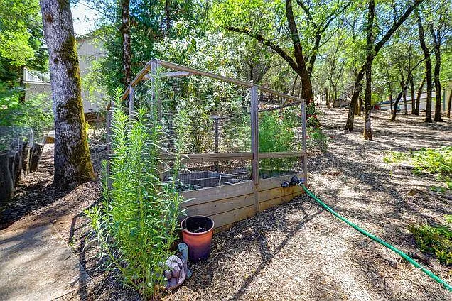 13082 Roadrunner Dr — Photo 26