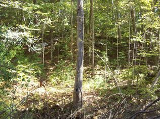 0 Beech St, Sneedville, TN 37869