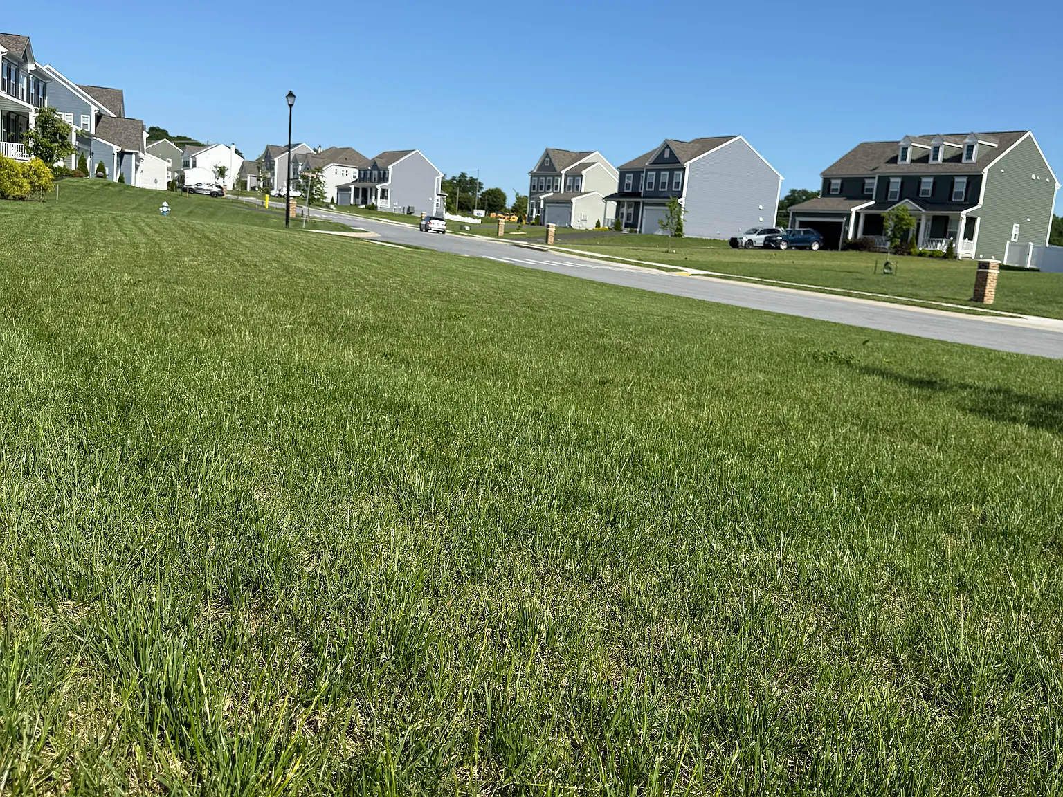 208 Wintergreen Way — Photo 3