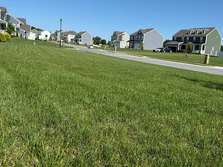 208 Wintergreen Way — Photo 4