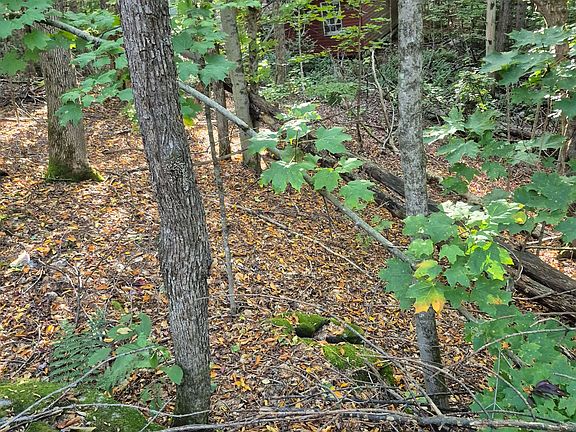 5th image of 1257 Hamilton Rd