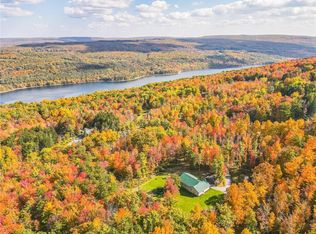 6008 Lawrence Hill Rd, Springwater, NY 14560