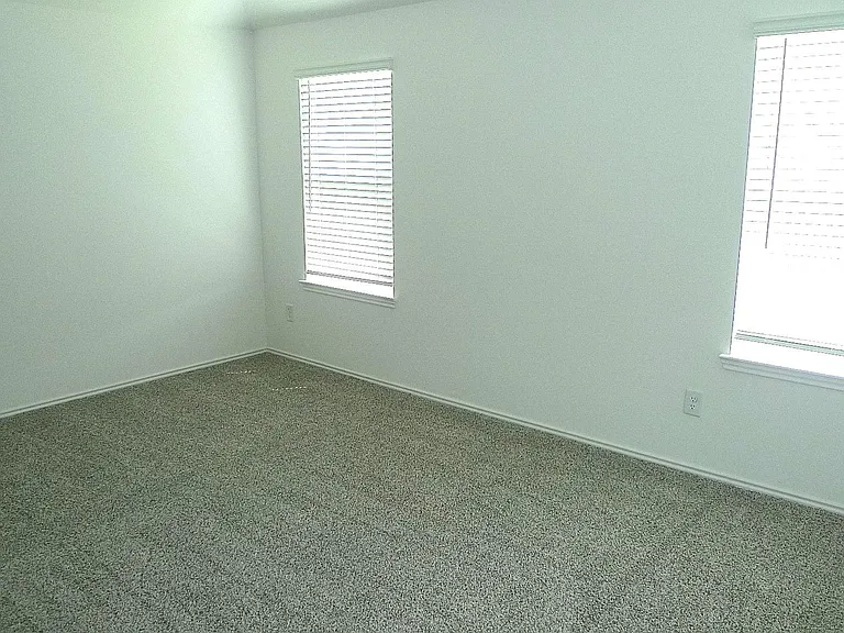 3063 Liams Tower Ln — Photo 10