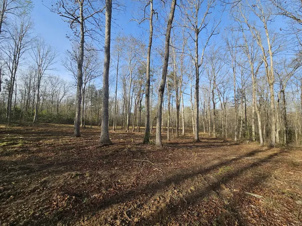 7 Fletcher Pickett Rd Lot 9, Gruetli Laager, TN 37339
