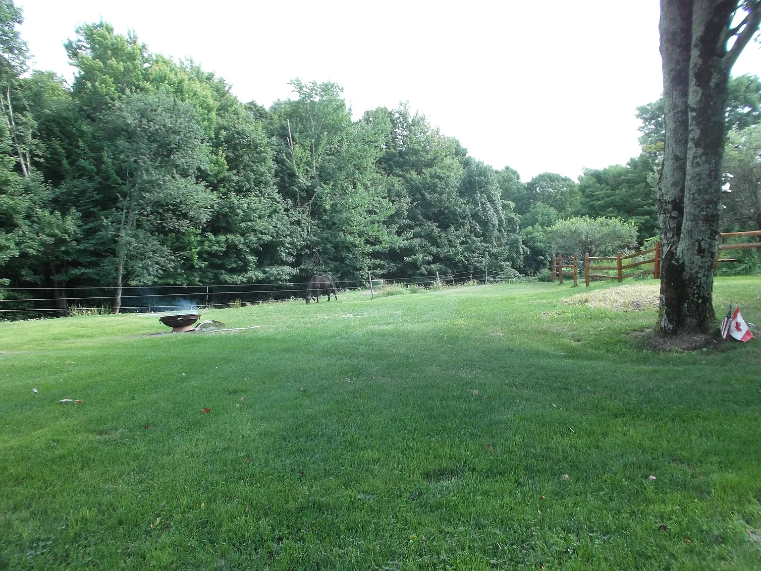Studio, 400 sqft, $1,700 — Photo 4