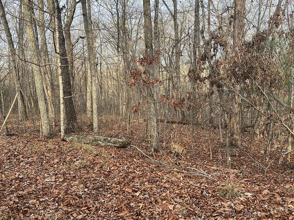 2nd image of 240 Albemarle Cir