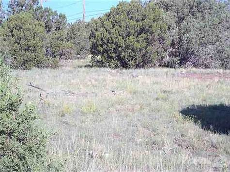 3rd image of 8495 Javelina Dr