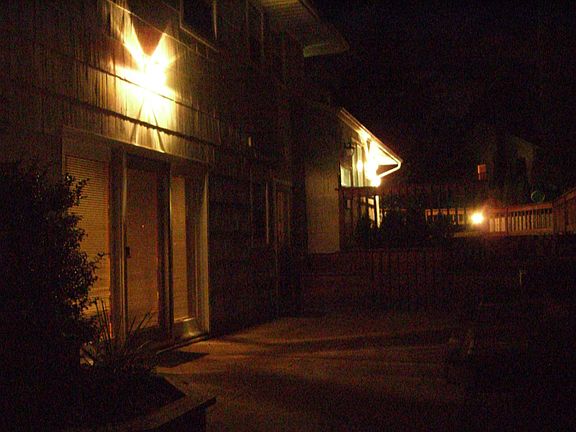 Many space for pet lover