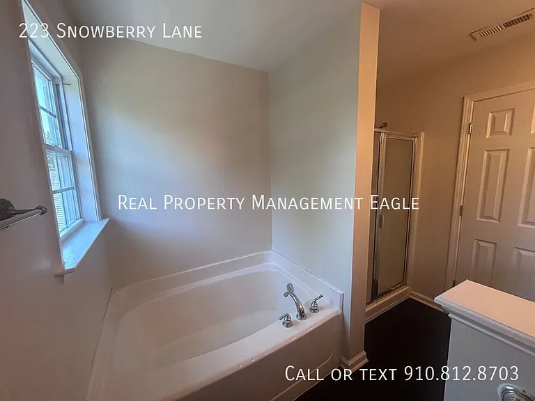 223 Snowberry Ln — Photo 17
