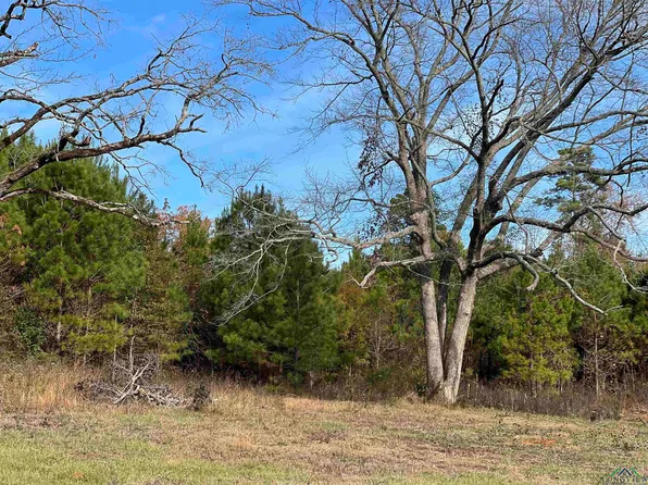 13028 Fm 449, Hallsville, TX 75650