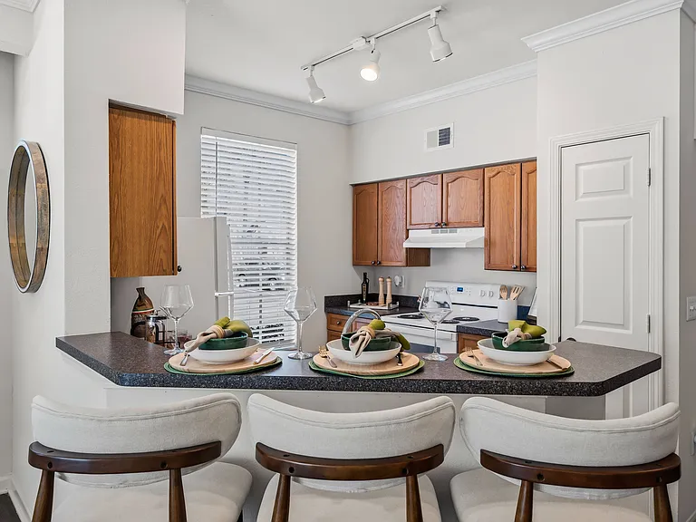 Kitchen and Dining Bar