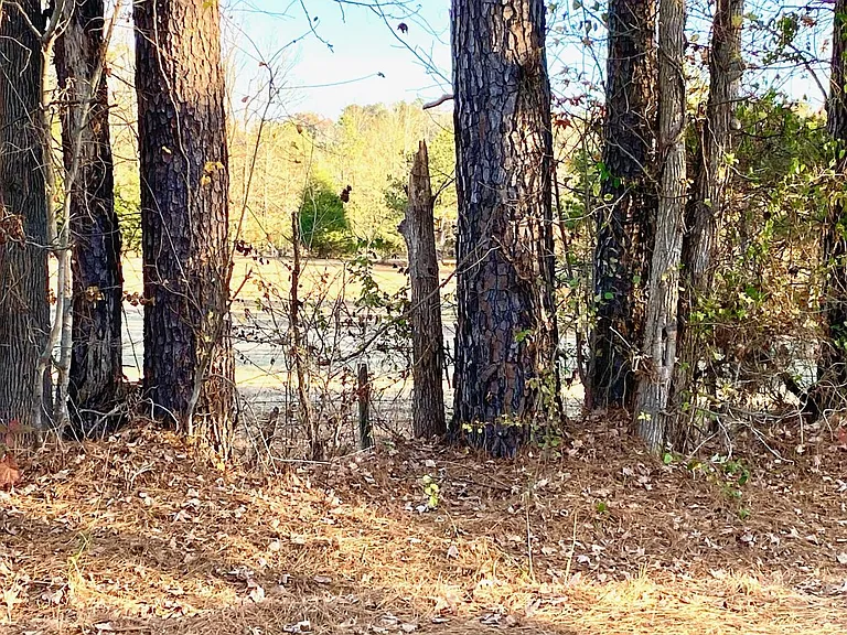 301 County Road 1001 — Photo 31