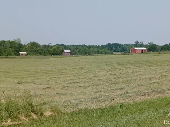 4000 Kehoe Rd, Clinton, MI 49236