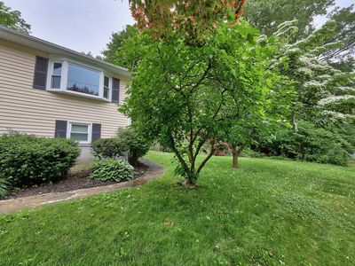 141 Joy Road, Waterbury, CT, 06708