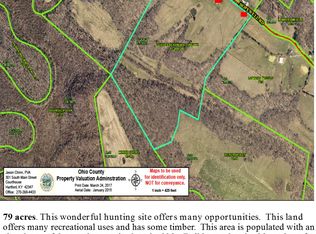 2357 Hopewell Rd, Horse Branch, KY 42349