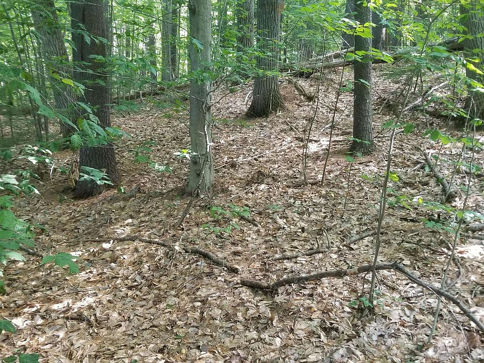 2nd image of Hogg Hill Road