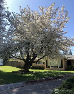 10820 109th Street SW, Tacoma, WA, 98498