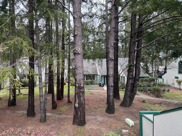537 Norlee St, Sebastopol, CA 95472
