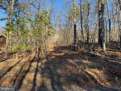 LOT 5 Quail Dr, Winchester, VA, 22602