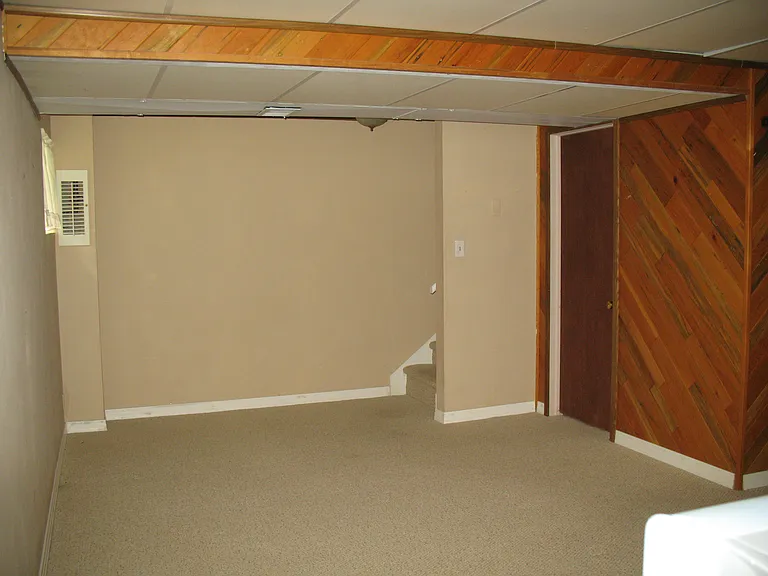basement (carpet)
