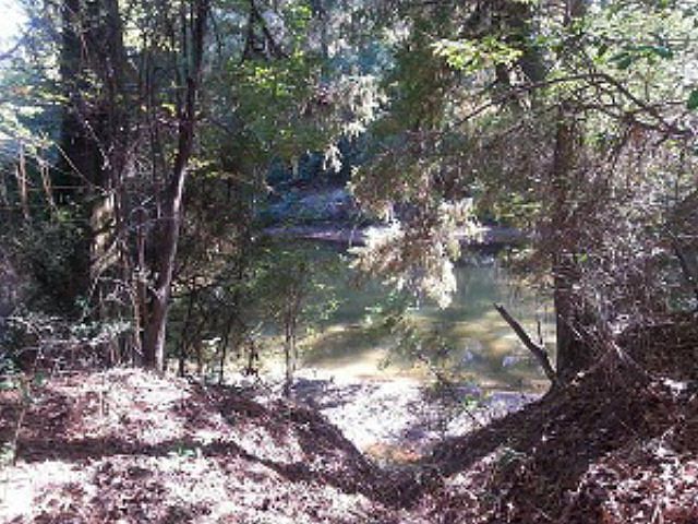 2nd image of 25079 Goat Cooper Rd