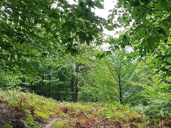 4th image of E Dietz Rd