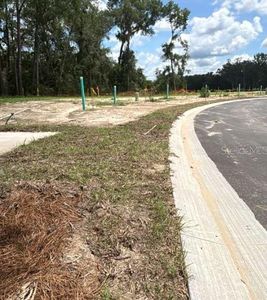 NW 138TH DR., Gainesville, FL, 32606