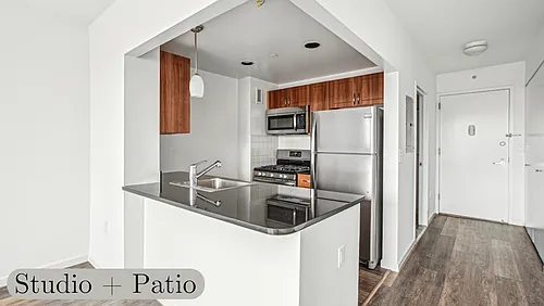 229 Chrystie St #334 Photo 1