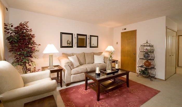 Spacious Living Room