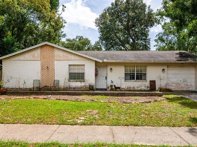 17645 Meadowbridge Dr, Lutz, FL, 33549