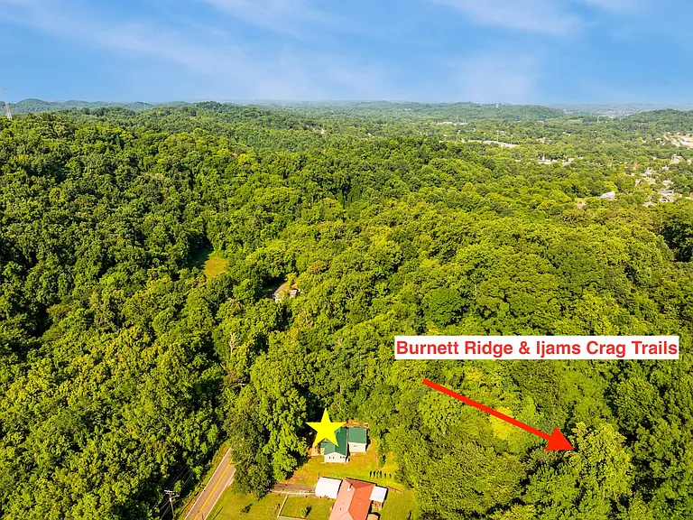 4516 Sevierville Pike — Photo 25