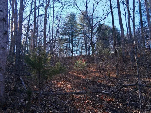 0 Peters Creek Rd, Big Island, VA 24526