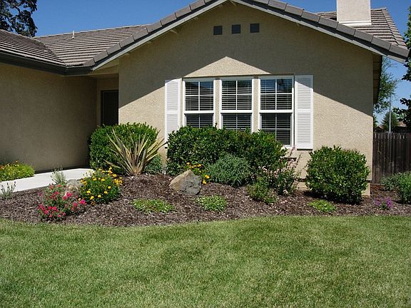 Newer landscape in front