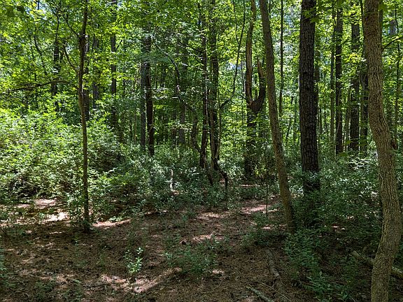 4th image of LOT 1 Blueberry Ln Lot 1