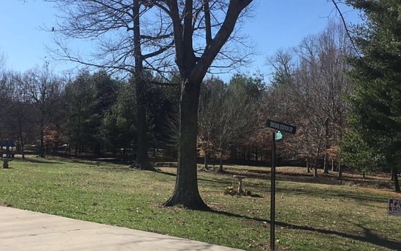 3rd image of Brooks Station Dr #31