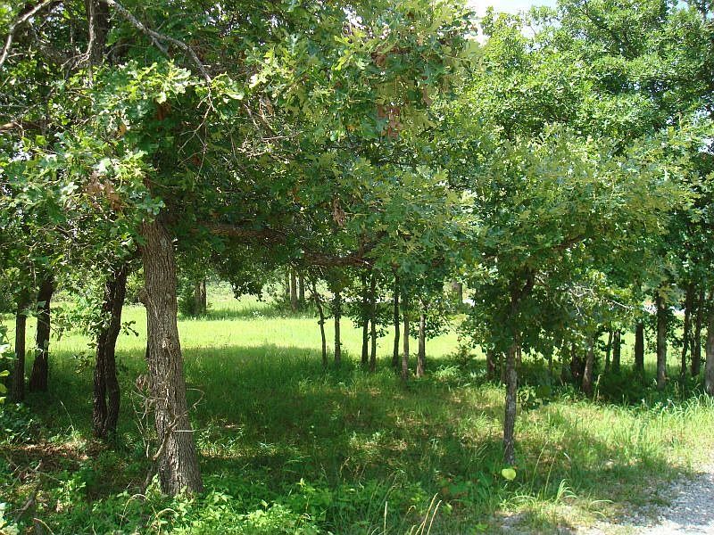 2nd image of 11500 Coyote Creek Rd