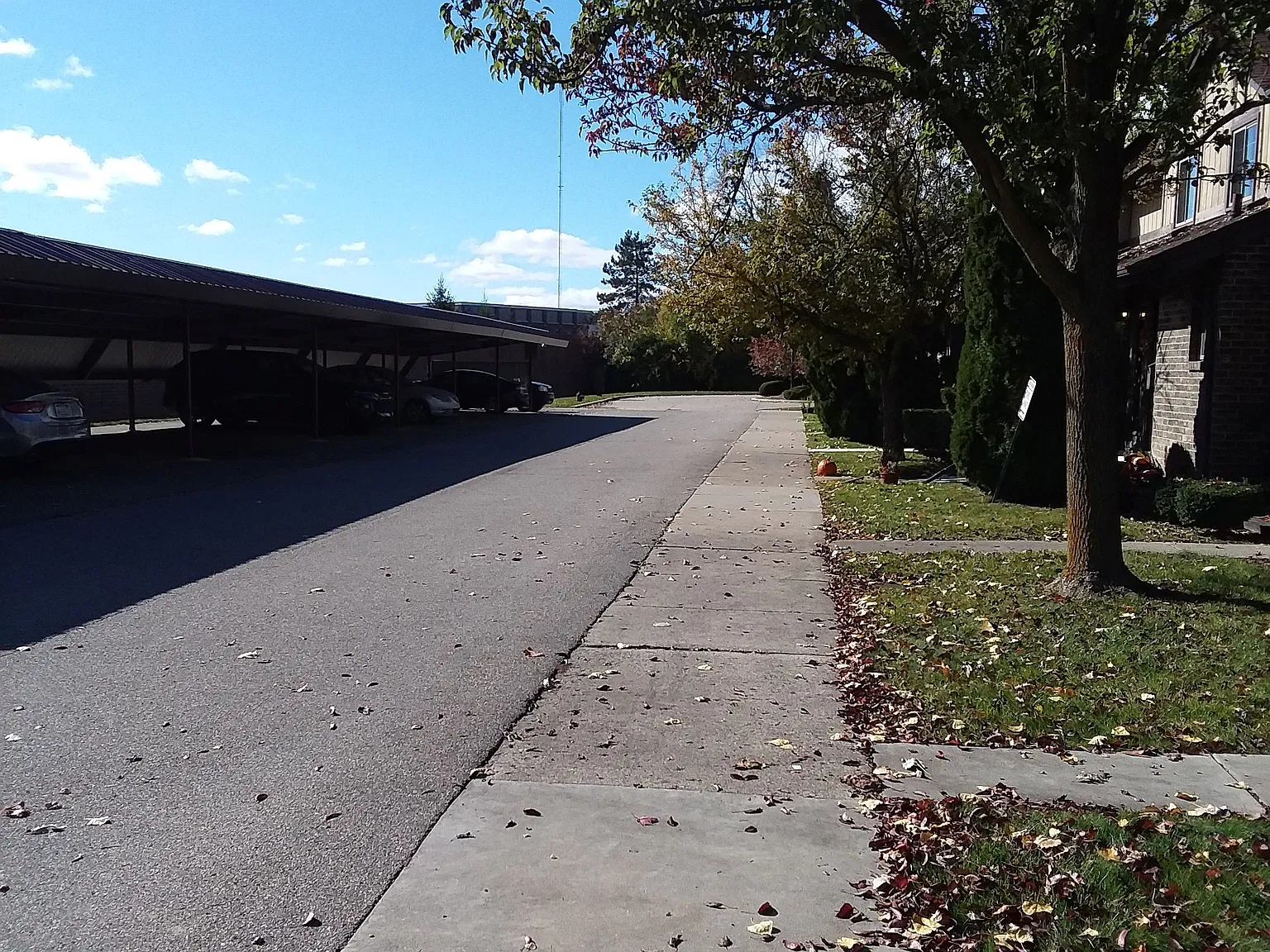 2 bed, 1.5 bath, 1280 sqft, $1,795 — Photo 4