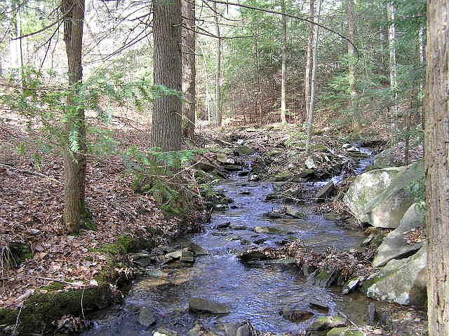 1st image of 789 Stone Creek Trl
