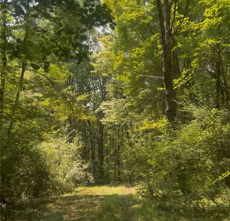 1st image of Longcore Rd Lot 28