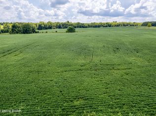 Township Road 4 Cropper Rd, Pleasureville, KY 40057