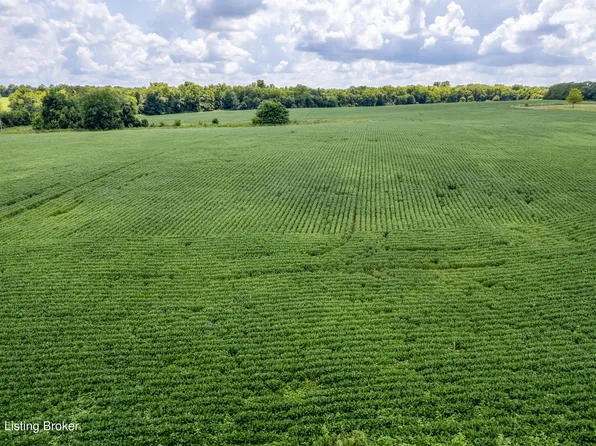 Township Road 4 Cropper Rd, Pleasureville, KY 40057