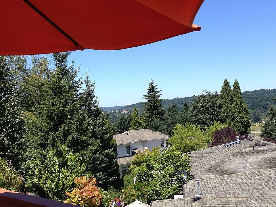 Mt Baker view