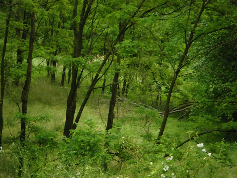 23 Rhodes Pl — Photo 22