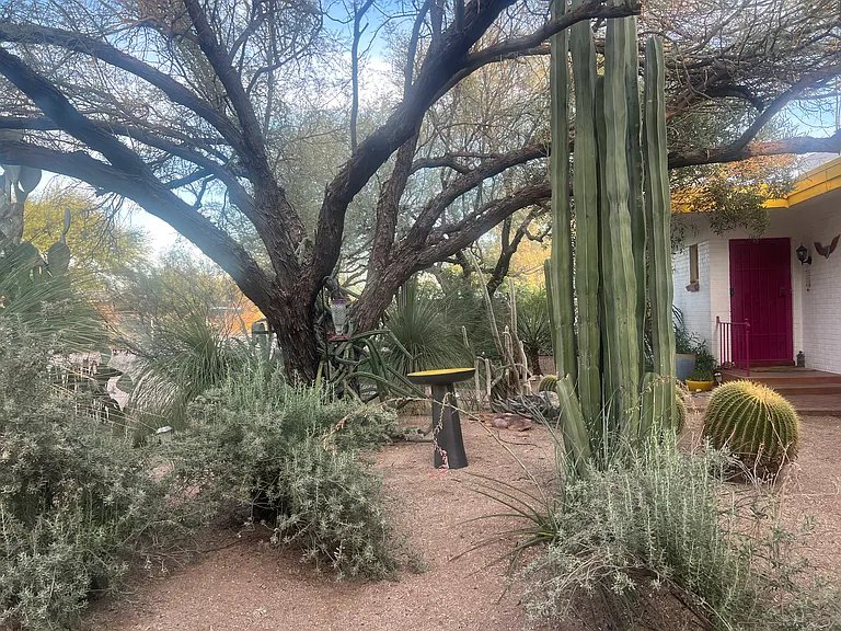 Beautiful landscaping in the front yard.