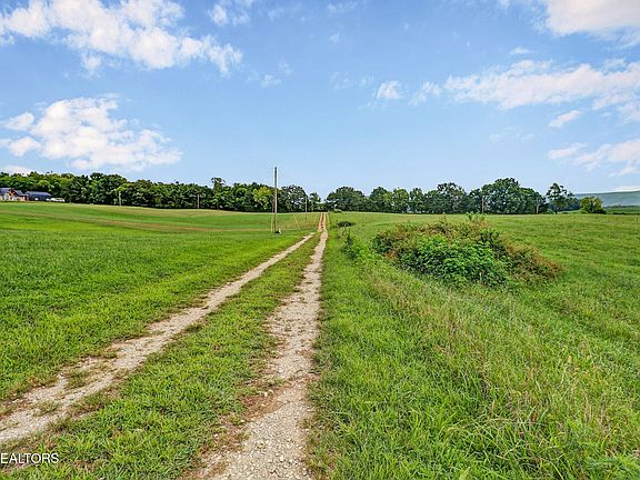5th image of Collier Ln