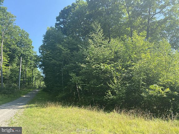 5th image of Elm Dr